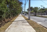 Búzios pode ter Plano Municipal de Arborização