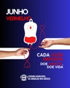 Conscientização