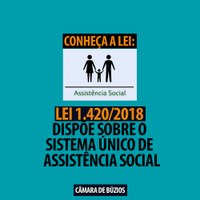  Lei de Assistência Social