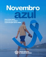 Novembro Azul