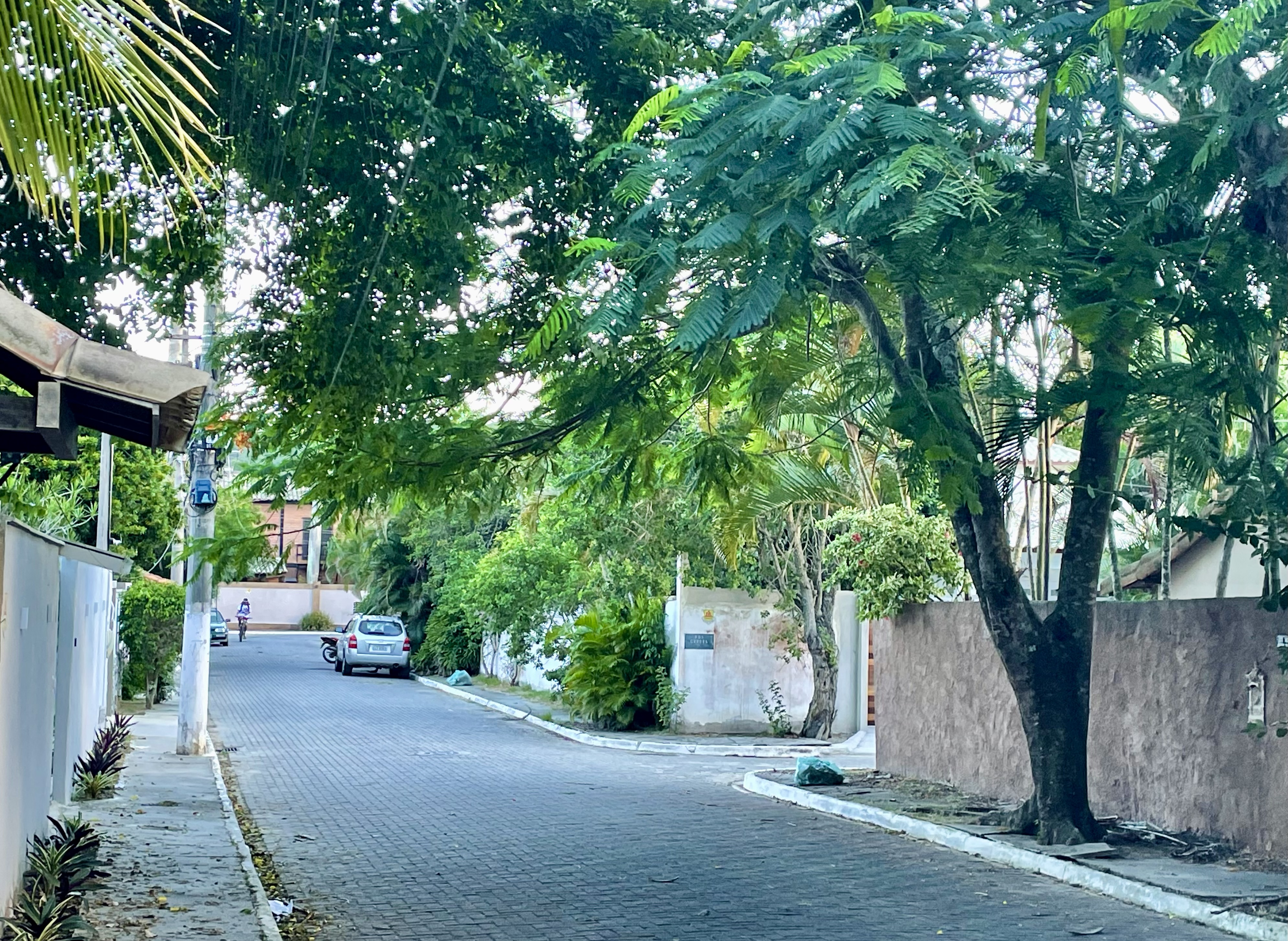 Plano Municipal de Arborização Urbana