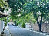 Plano Municipal de Arborização Urbana