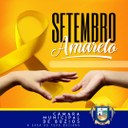 Projeto do Setembro Amarelo está na CCJR