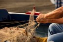 Projeto prevê fim da exigência da Carteira da Colônia de Pescadores para concessão de Auxílio ao Pescador Artesanal