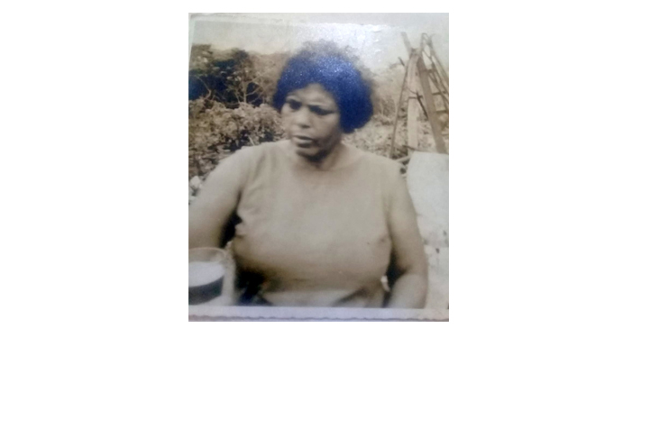 Projeto visa denominar logradouro na Rasa com o nome Travessa Rosa Porto