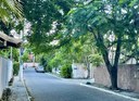 Proposta de Corrredor Verde entra na pauta da Câmara Municipal de Búzios