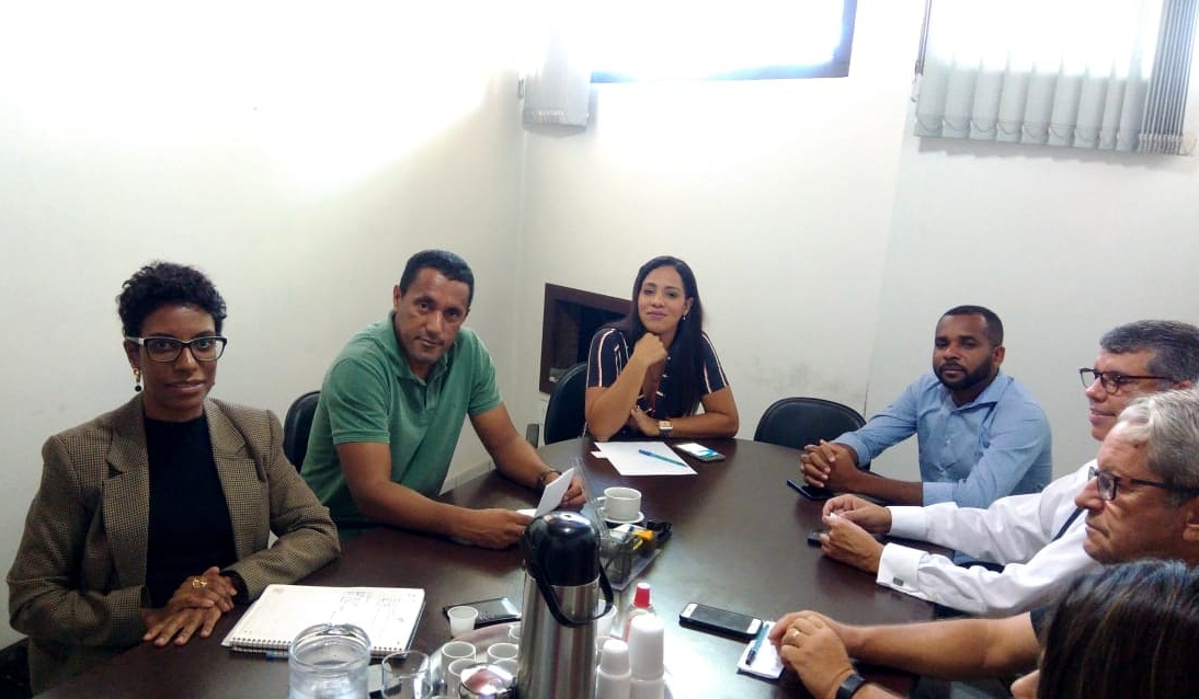 Vereadores se Reúnem com Diretora de Relações Institucionais da Enel